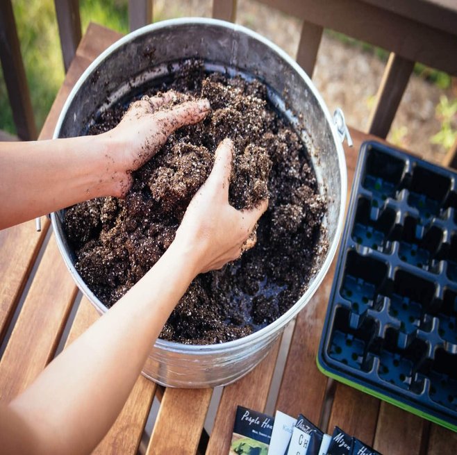 Propagator