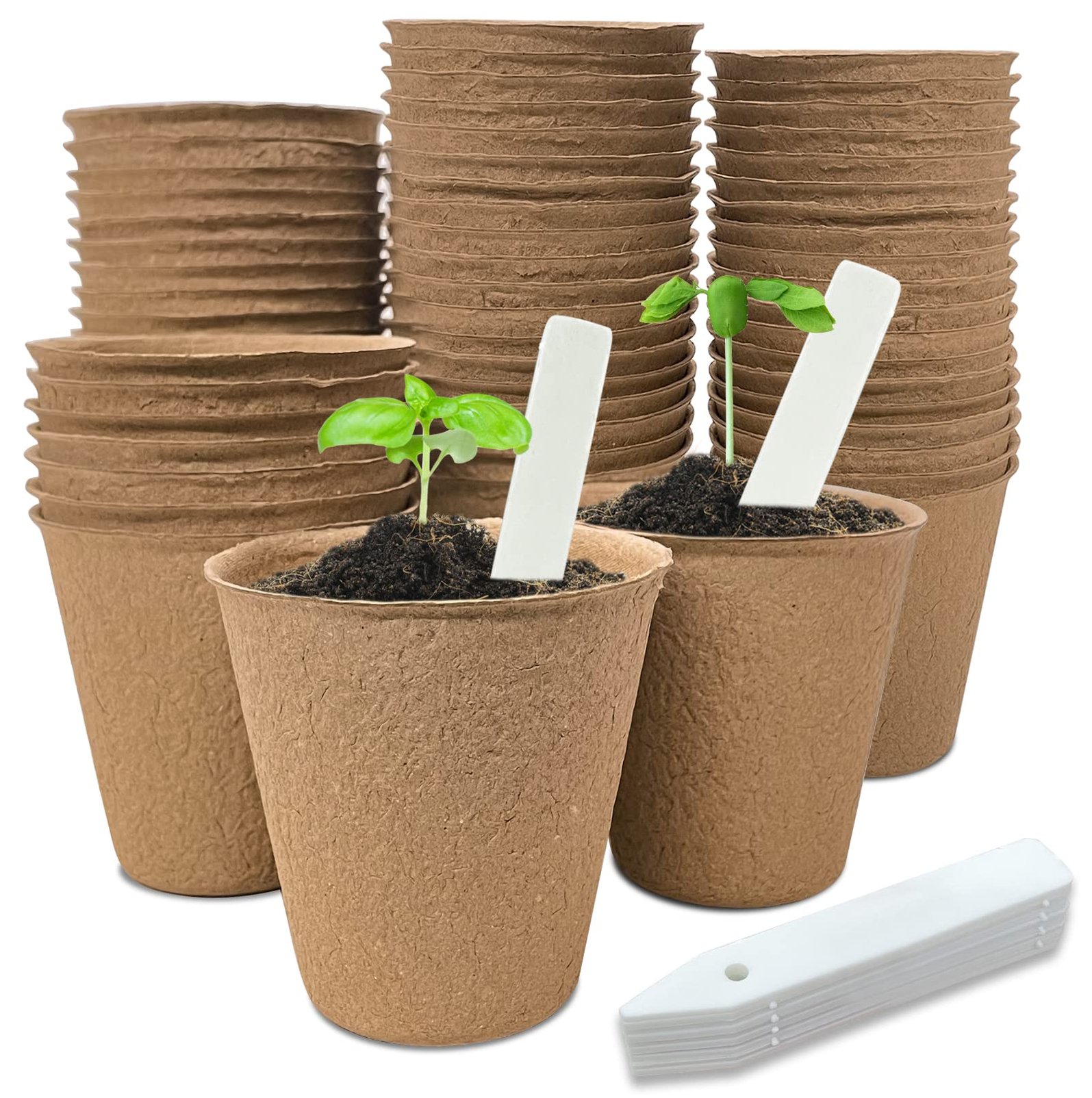 Plant Support